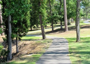 Lakewood Park Walking Paths